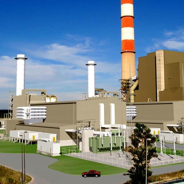 Cogenaration Plant Pego Power Station